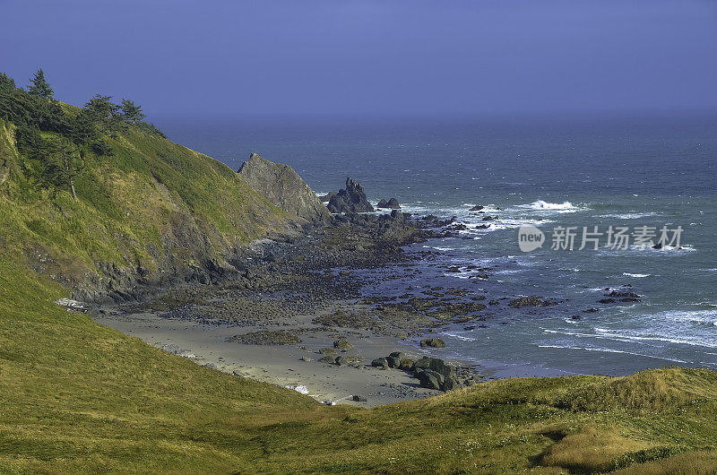 太平洋和俄勒冈海岸/海滩-沙子，冲浪，和茂密的森林